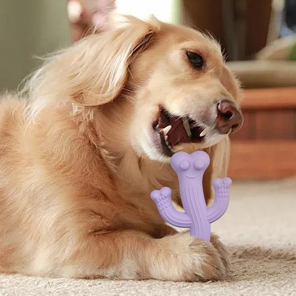 Why Your Dog Deserves the Pet Cactus Shape Ultra Durable Chew Toy