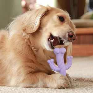 Why Your Dog Deserves the Pet Cactus Shape Ultra Durable Chew Toy