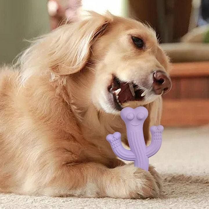 Why Your Dog Deserves the Pet Cactus Shape Ultra Durable Chew Toy