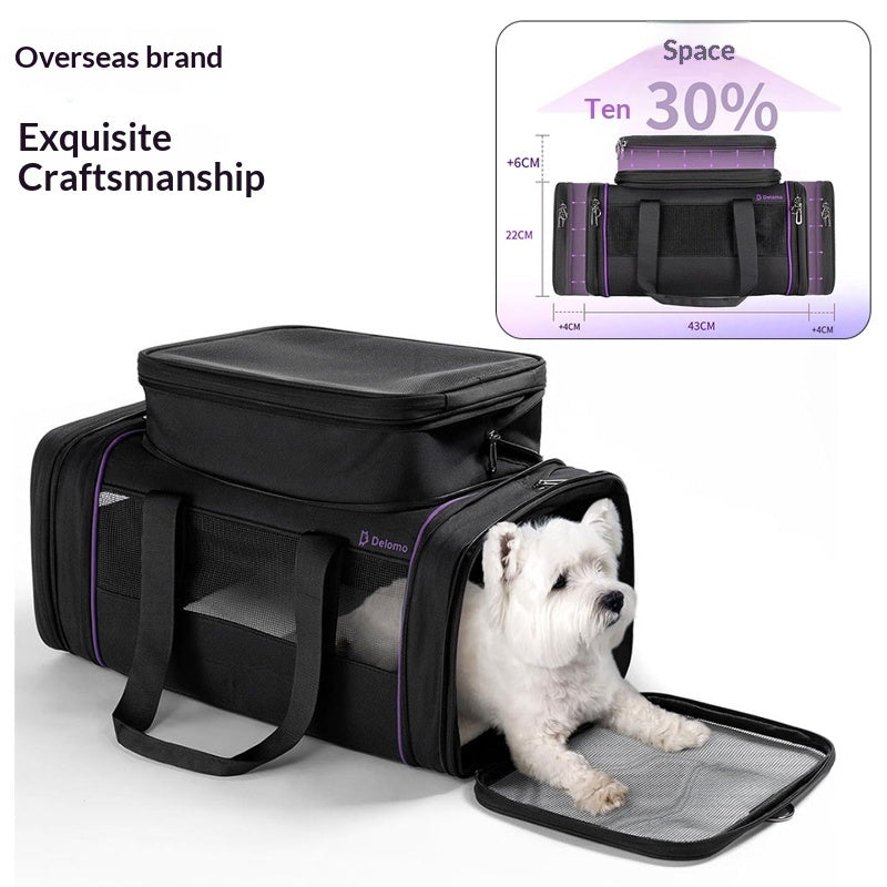 Why Your Pet Deserves the Best Travel Experience
